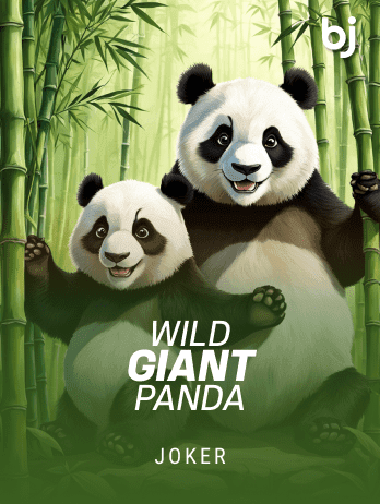 Wild Giant Panda